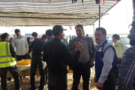 بازدید